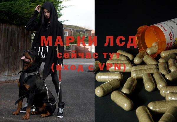 MDMA Белокуриха