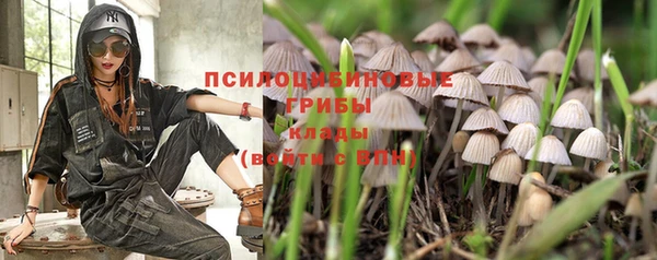 MDMA Беломорск