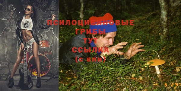 MDMA Беломорск